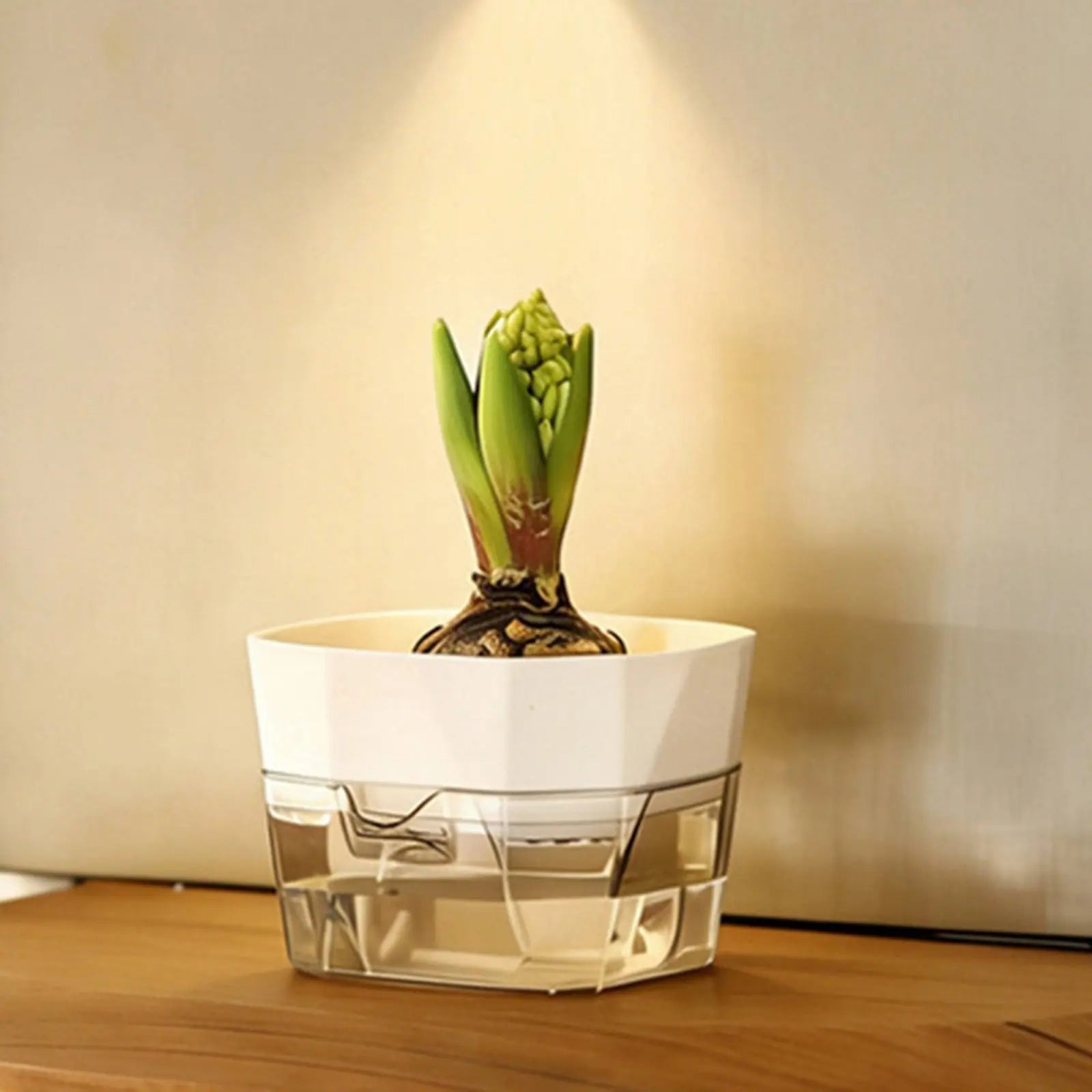 Hydroponic Bulb Vase 2-Tier Design Bulb Forcing Pot Automatic-Watering Planter Transparent Base Flower Pot for Plant Lovers