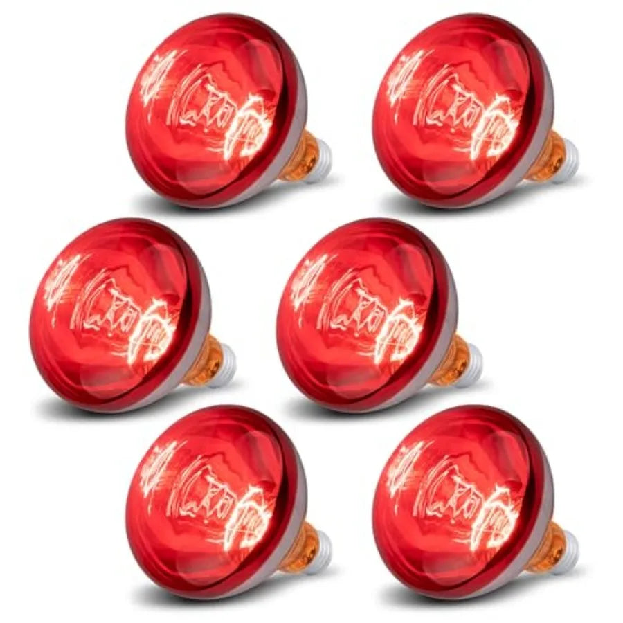 6 Pack 250W Heat Lamp Bulbs for Chicks, R40 Brooder Heat Lamp for Chickens, Infrared Reflector Heating Bulbs, Incandescent Heat