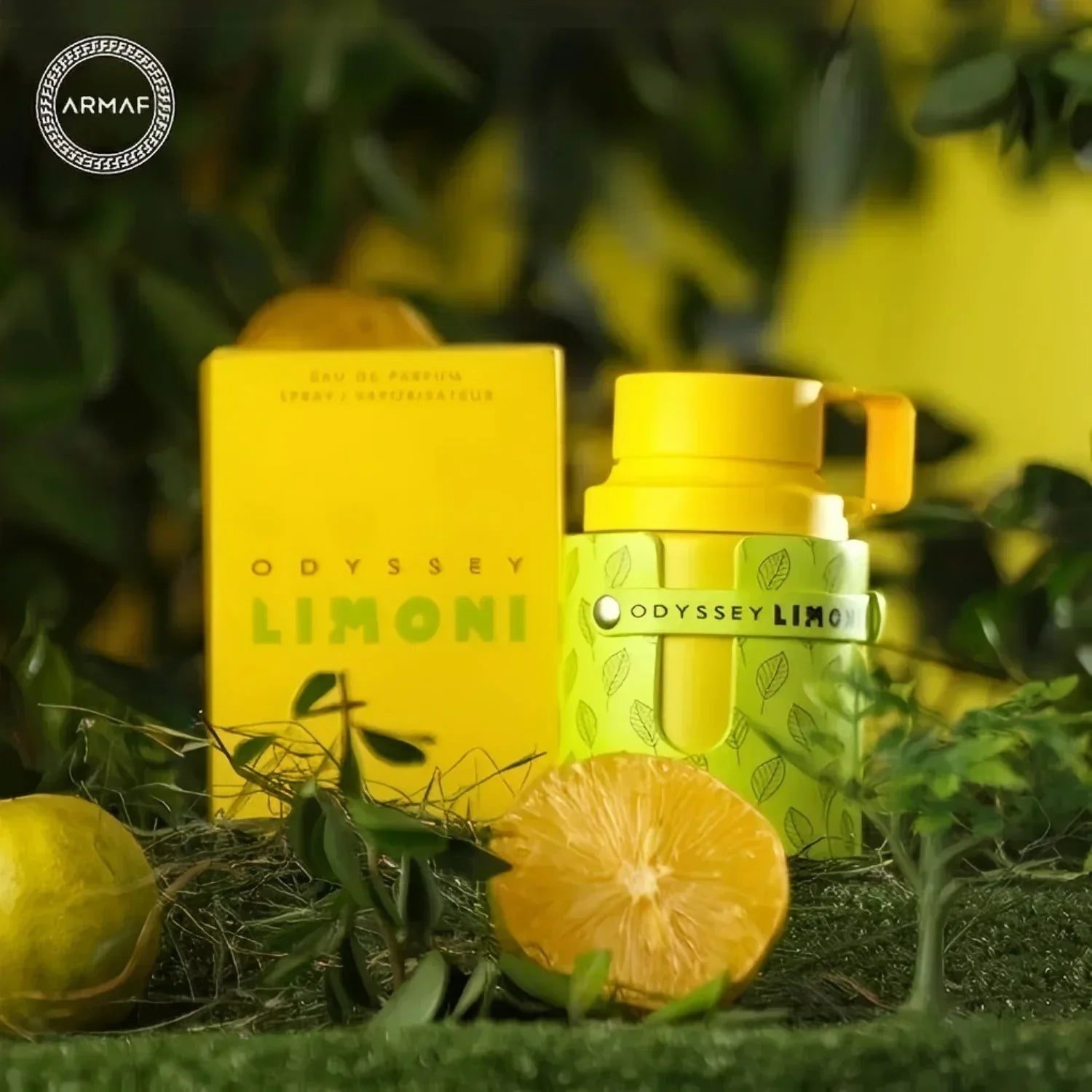 ODYSSEY LIMONI Fresh Edition Eau De Parfum for Women 3.4 fl oz (100ml), Bright Citrus Aroma, Crisp Refreshing EDP Spray, Gentle Long Wear Fragrance, Ideal Luxury Present for Outdoor & Daily Use