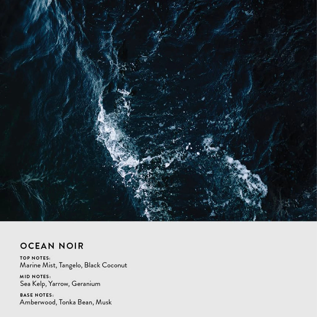 Michael Malul Ocean Noir Eau de Parfum Spray for Men – Fresh Aquatic, Dark Marine & Woody Aromatic Scent, Long-Lasting Fragrance, Perfect Gift, 100 ml / 3.4 fl oz