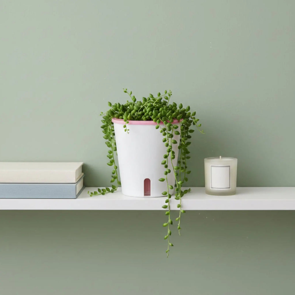 Self Watering Planter Large Size Self Watering Pot Water Reservoir Planter Hydroponic Garden Container Lightweight for Outdoor