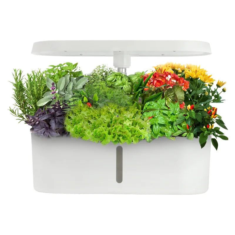 Home Smart Hydroponic Vegetable Grower  Soilless Hydroponic Flower Growing System  Fully Automatic Vegetable Growing System
