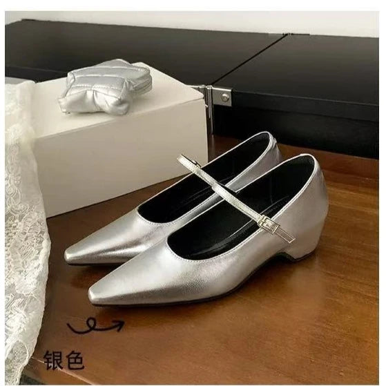 2026 New Arrival Sweet Elegant Shoes Women Wedge Heel Mary Jane Shoes Pointed Toe Women's Shoes Metal Buckle Trim Sandals 5413