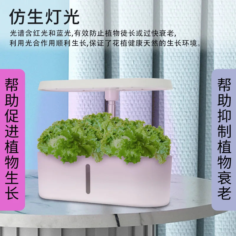 Home Smart Hydroponic Vegetable Grower  Soilless Hydroponic Flower Growing System  Fully Automatic Vegetable Growing System