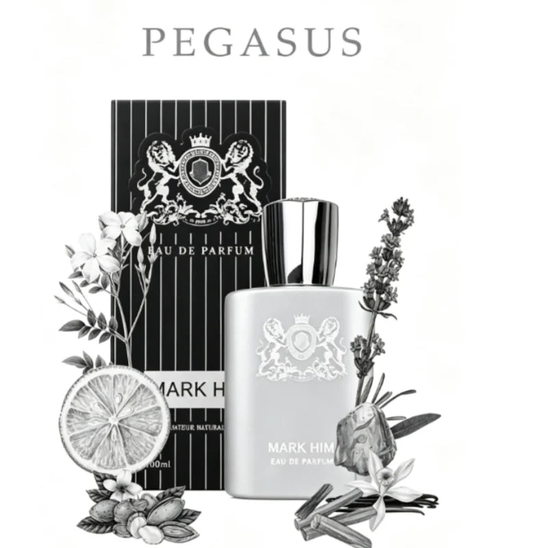 100ml MARK HIM Men Perfume Long-wearing Magnetic Masculine Fragrance Metallic Gray Cologne Vaporisateur Spray Dating Romantic Night