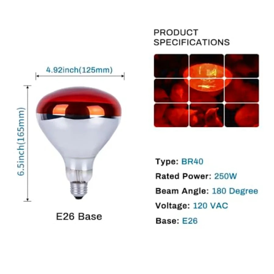6 Pack 250W Heat Lamp Bulbs for Chicks, R40 Brooder Heat Lamp for Chickens, Infrared Reflector Heating Bulbs, Incandescent Heat