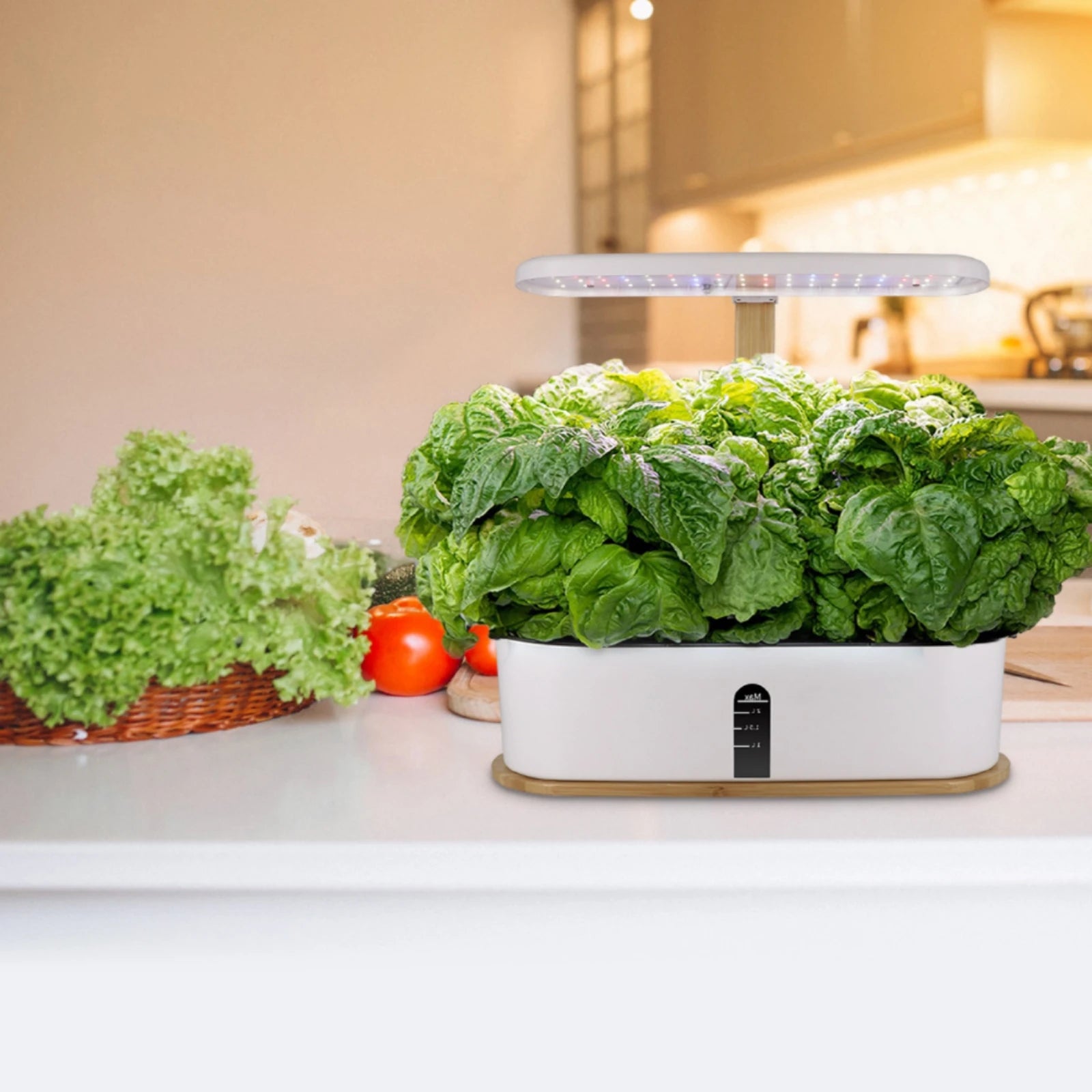 Hydroponic Planter with LED Grow Illumination areaSaving Indoor Hydroponic Garden Indoor Garden with LED Grow Light Fresh Slim