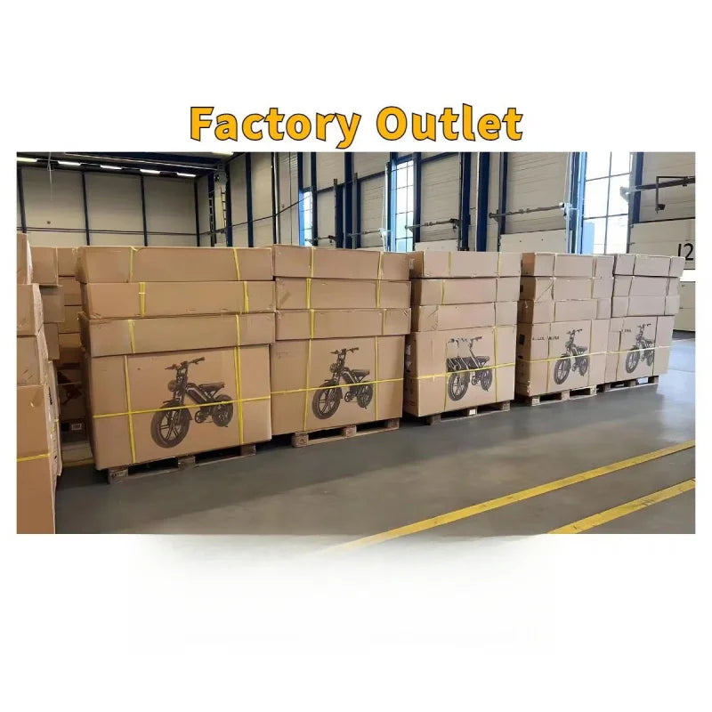 High Quality 250W 15Ah Large Capacity Long Range Aluminum Alloy Adult Cargo Electric Bicycle For Daily Transport
