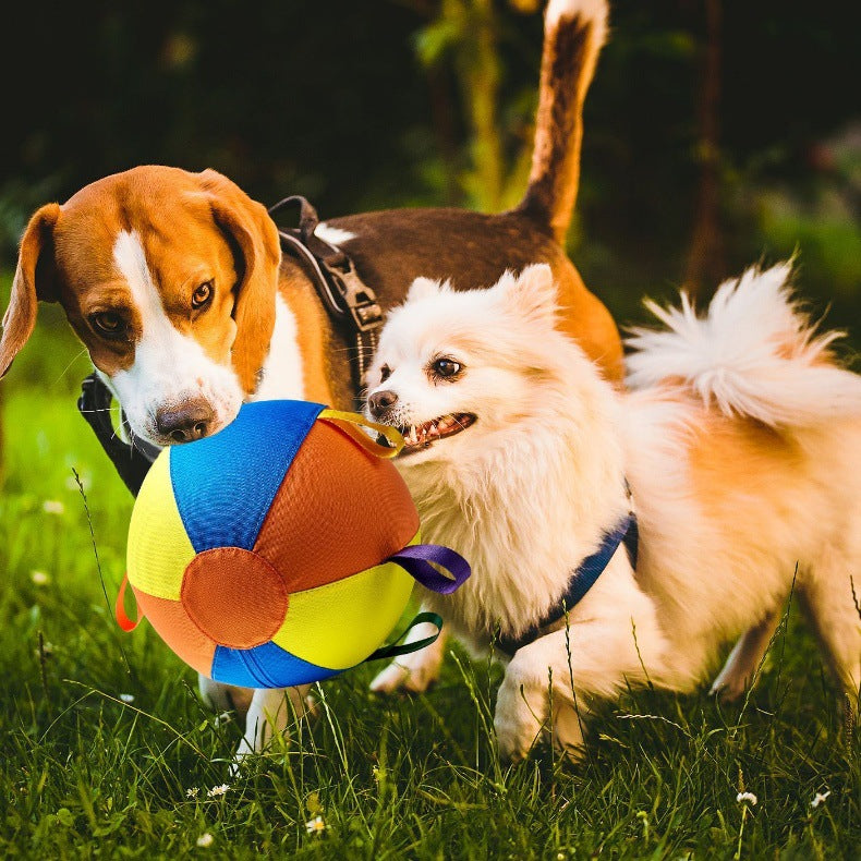 Cross-Border Sheep Horse Dog Herding Ball—Durable Solid Color Polyester Inflatable Training and Exercise Toy Pet Game Ball