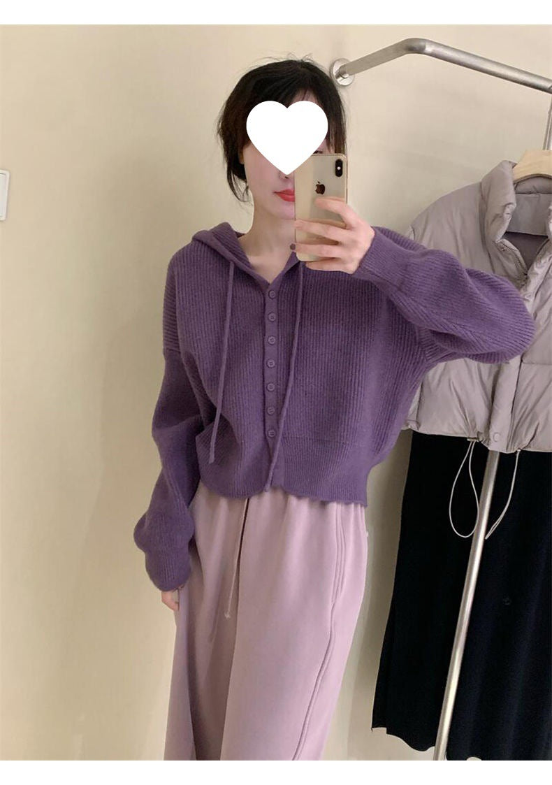 Gentle Style Hooded Knitted Cardigan Women's Elegant Top Loose Sweater Shawl Outer Single-Breasted Casual Sweatshirt