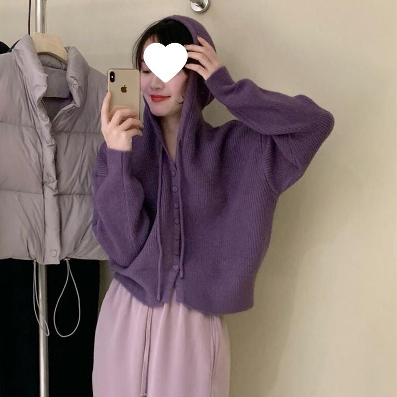 Gentle Style Hooded Knitted Cardigan Women's Elegant Top Loose Sweater Shawl Outer Single-Breasted Casual Sweatshirt