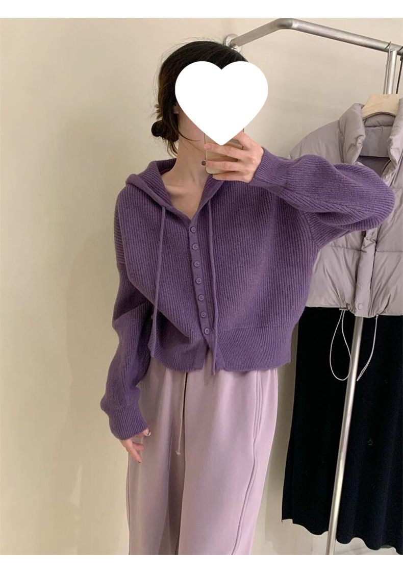 Gentle Style Hooded Knitted Cardigan Women's Elegant Top Loose Sweater Shawl Outer Single-Breasted Casual Sweatshirt
