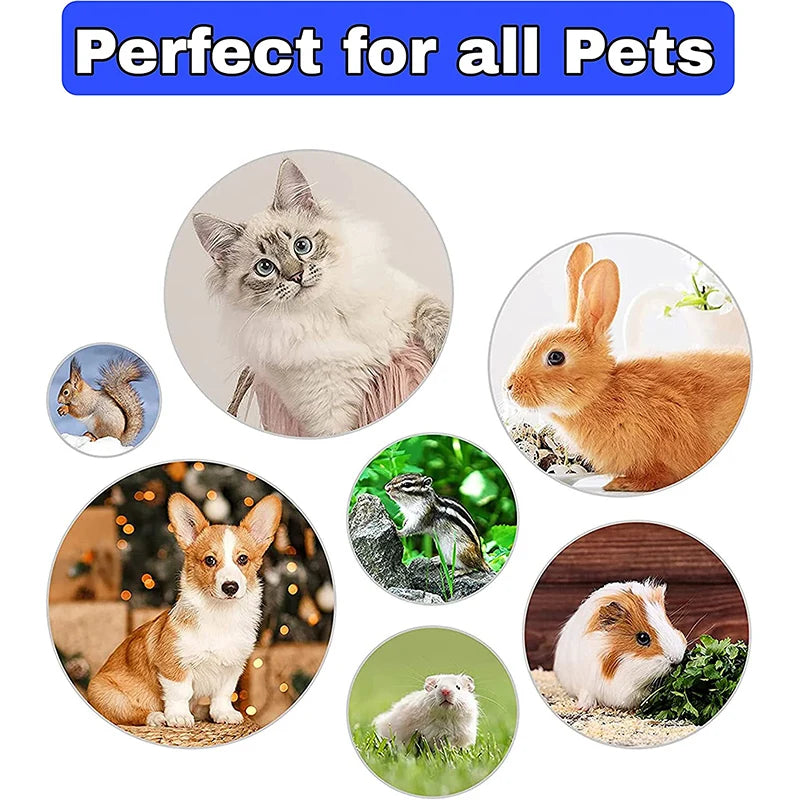 4Pcs Rabbit Grooming Kit with Tear Stain Remover Combs Pet Nail Clipper Double-Sided Shampoo Bath Brush Hamster Rabbit Supplies