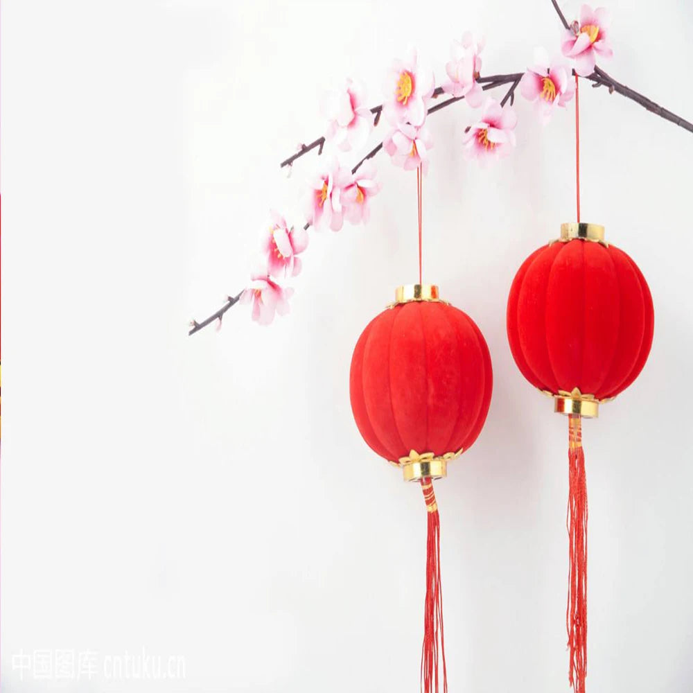 2 Pcs/Pack Small Red Traditional Chinese Lanterns, Mini Layout Lantern for Festival/ Wedding/ Party Hotel Festival Decorations