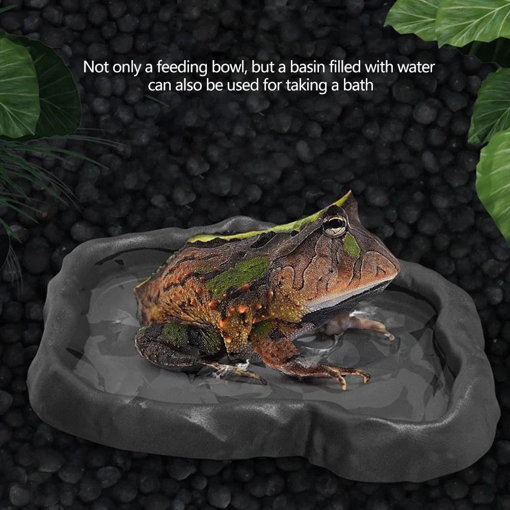 Crawler Pet Feeder Basin Reptiles Amphibians Drinking Feeder Turtle Tortoise Scorpion Lizard Crab Bowl Small Pet Supplies