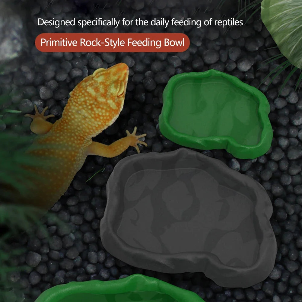 Crawler Pet Feeder Basin Reptiles Amphibians Drinking Feeder Turtle Tortoise Scorpion Lizard Crab Bowl Small Pet Supplies