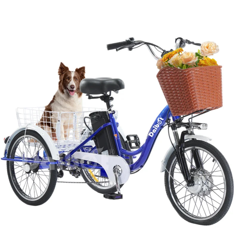 20inch 3 Wheels Electric Bike For Adults 350W 48V 7 Speed Cargo Electric Tricycle For Elderly People Removable Battery