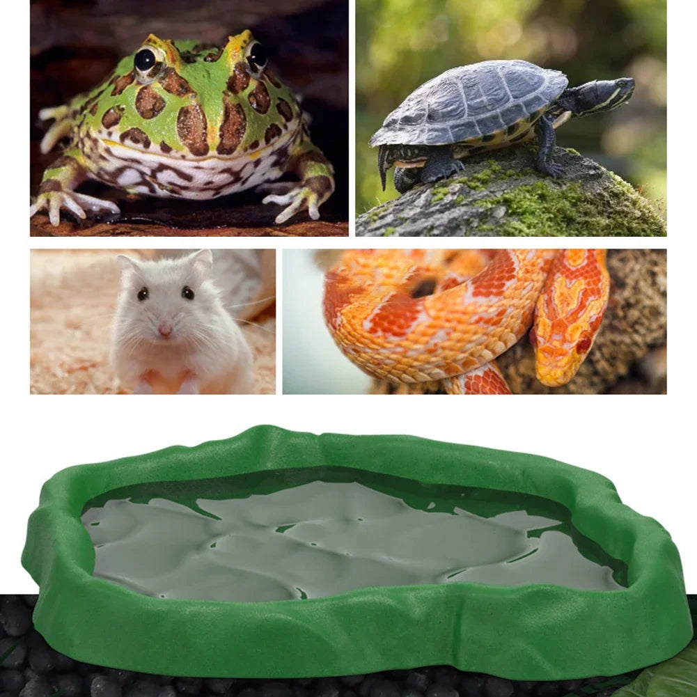 Crawler Pet Feeder Basin Reptiles Amphibians Drinking Feeder Turtle Tortoise Scorpion Lizard Crab Bowl Small Pet Supplies