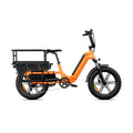 High Quality 250W 15Ah Large Capacity Long Range Aluminum Alloy Adult Cargo Electric Bicycle For Daily Transport