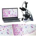 Binocular Biological Digital Video Microscope Display | Laboratory Education Use | High-Resolution Camera-Compatible Microscope