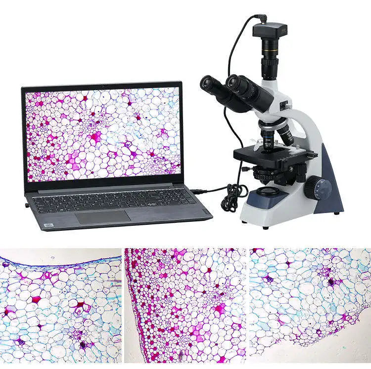 Binocular Biological Digital Video Microscope Display | Laboratory Education Use | High-Resolution Camera-Compatible Microscope