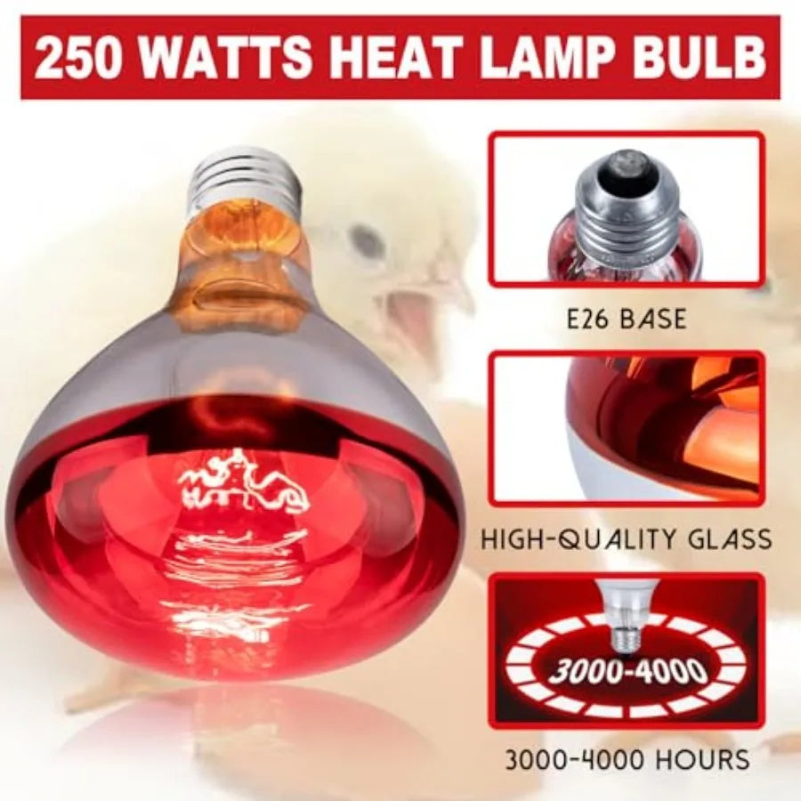6 Pack 250W Heat Lamp Bulbs for Chicks, R40 Brooder Heat Lamp for Chickens, Infrared Reflector Heating Bulbs, Incandescent Heat