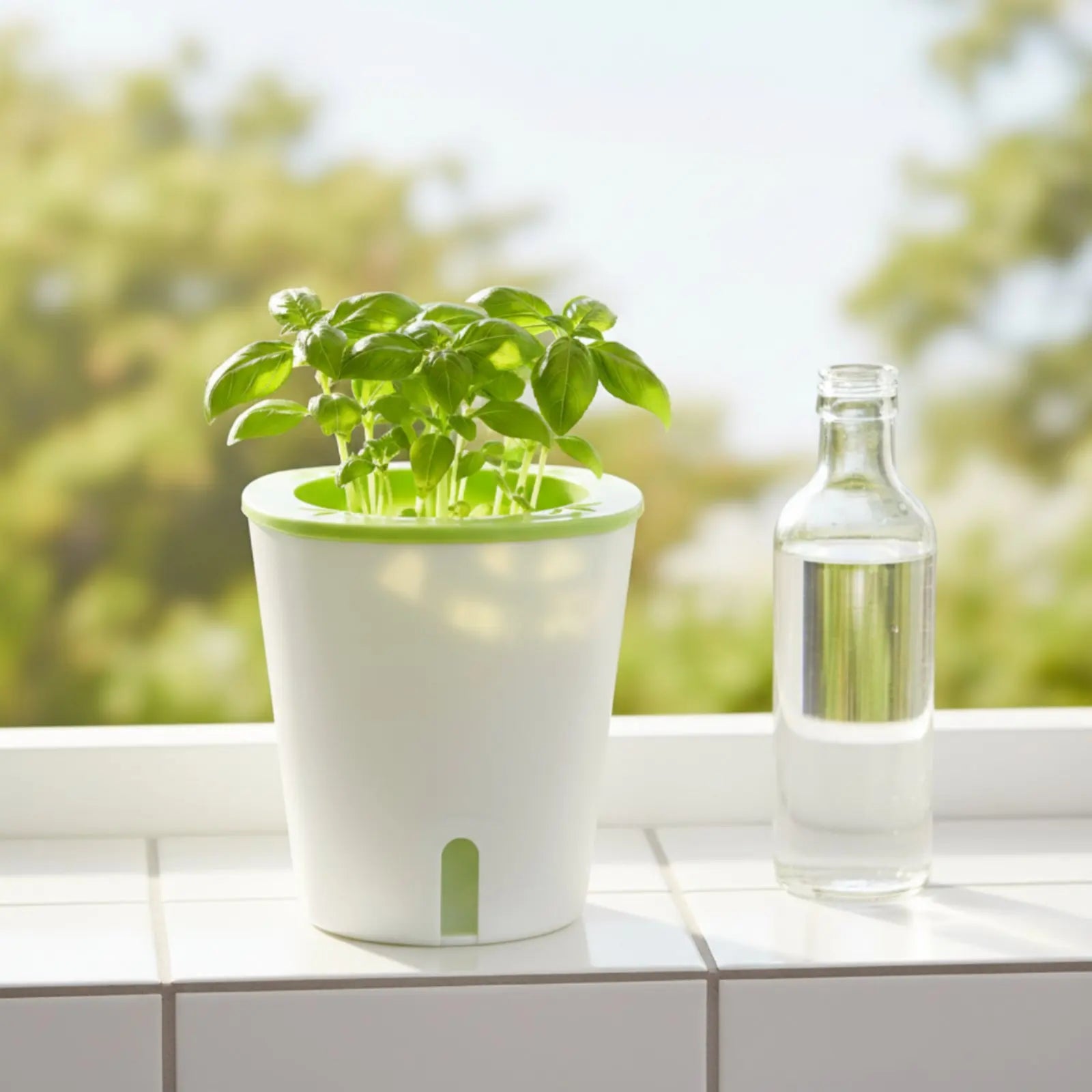Self Watering Planter Large Size Self Watering Pot Water Reservoir Planter Hydroponic Garden Container Lightweight for Outdoor