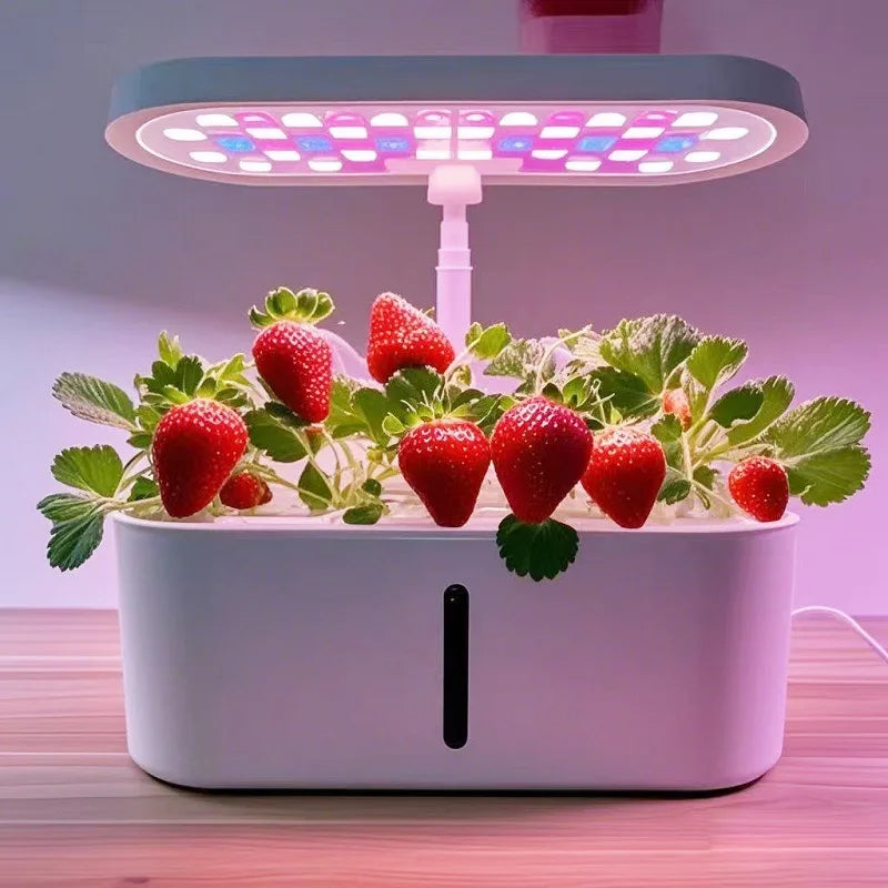 Home Smart Hydroponic Vegetable Grower  Soilless Hydroponic Flower Growing System  Fully Automatic Vegetable Growing System
