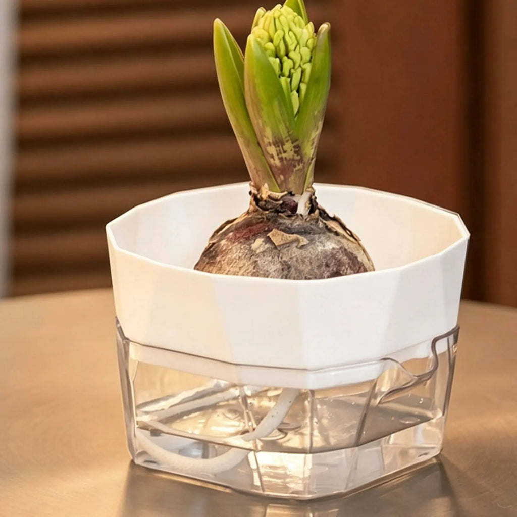 Hydroponic Bulb Vase 2-Tier Design Bulb Forcing Pot Automatic-Watering Planter Transparent Base Flower Pot for Plant Lovers