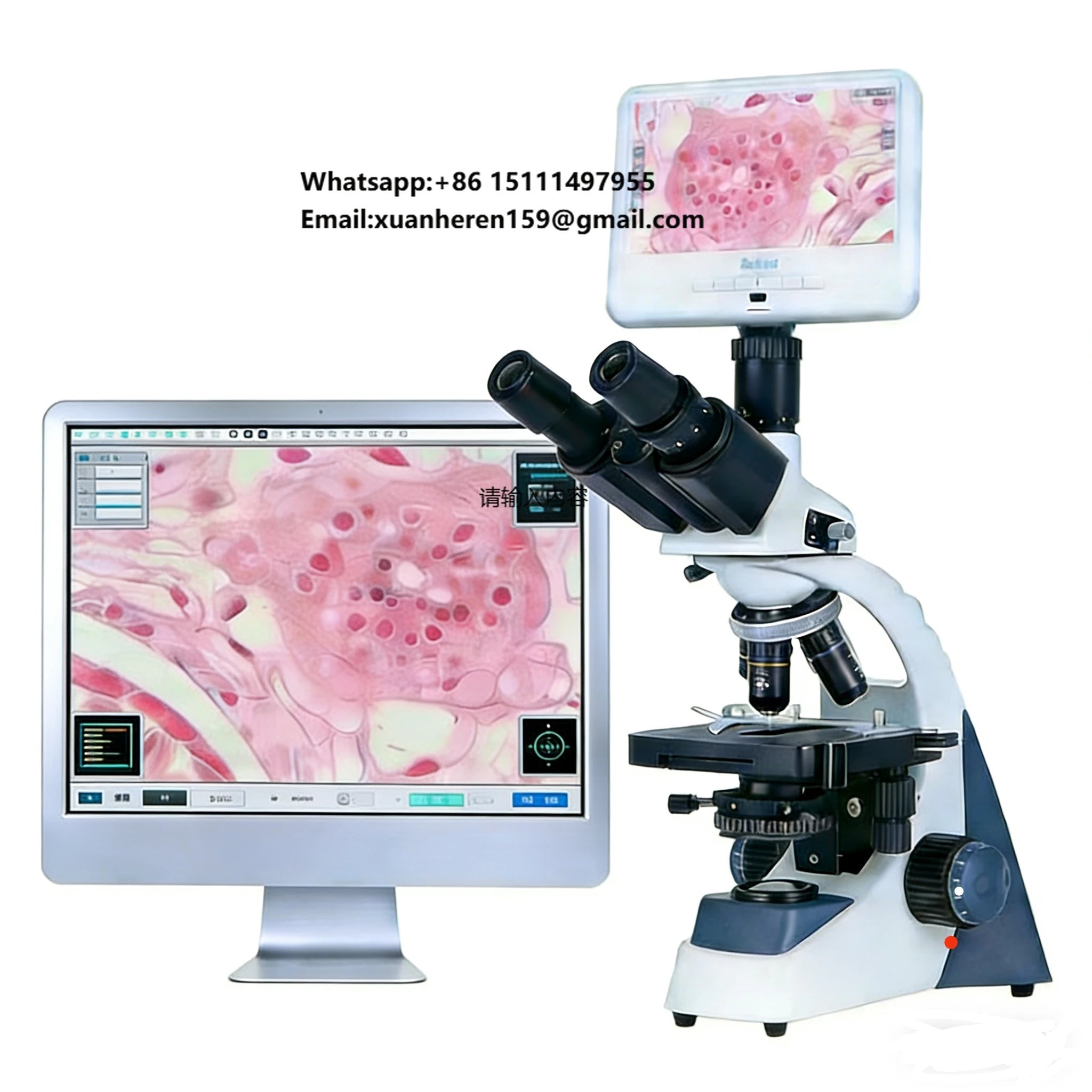 Binocular Biological Digital Video Microscope Display | Laboratory Education Use | High-Resolution Camera-Compatible Microscope